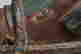 item-130099191=6