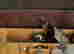 item-135078792=16