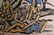 FERNAND LEGER (1881-1955) LITHOGRAPH LA PARTIE DE CAMPA - 4