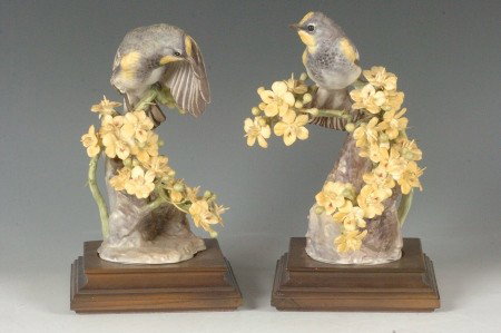 DOROTHY DOUGHTY ROYAL WORCESTER PORCELAIN BIRD GRO: Pair Audubon Warbler and Palo Verdi, Circa 1963, each measures approximately 9 x 5 inches. `