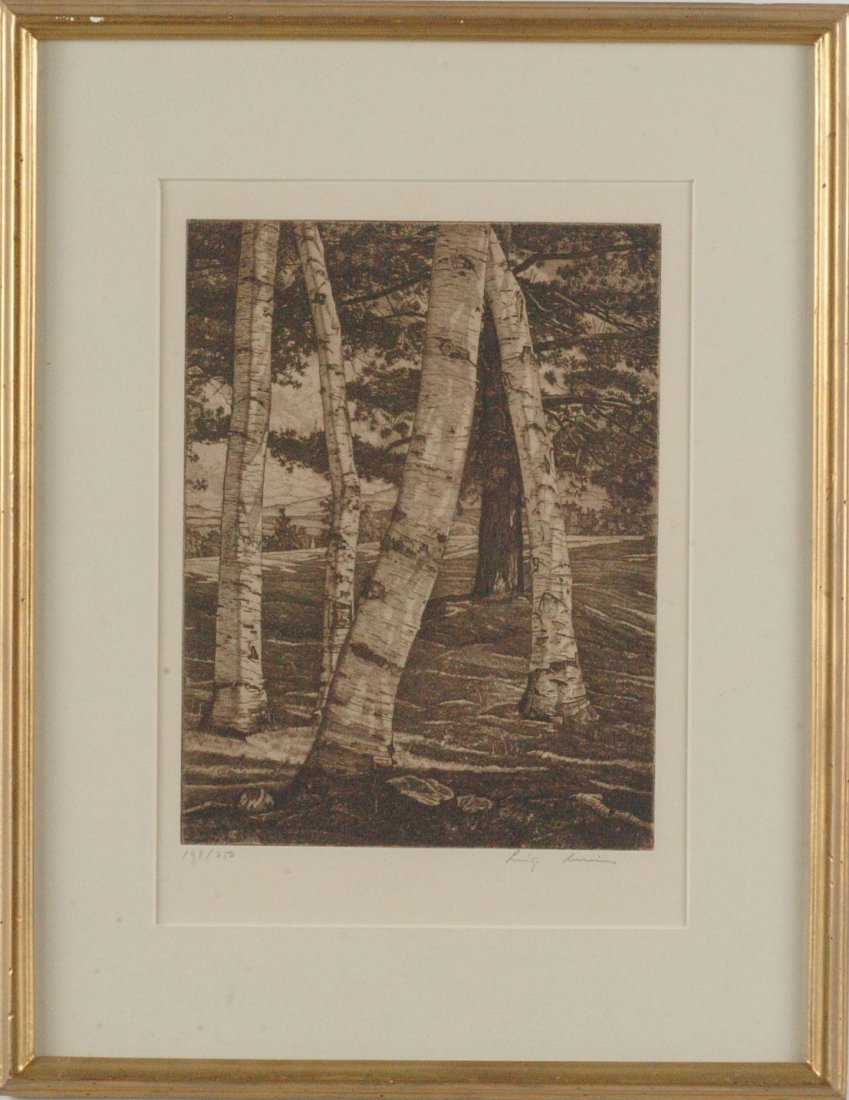LUIGI LUCIONI (1900 - 1988) PENCIL SIGNED ETCHING: Signed lower right and numbered 198/250 lower left, titled Birches and Pines, sight size of 10.50 x 8 inches through the mat with an overall framed size of 18.50 x 14.50 inches