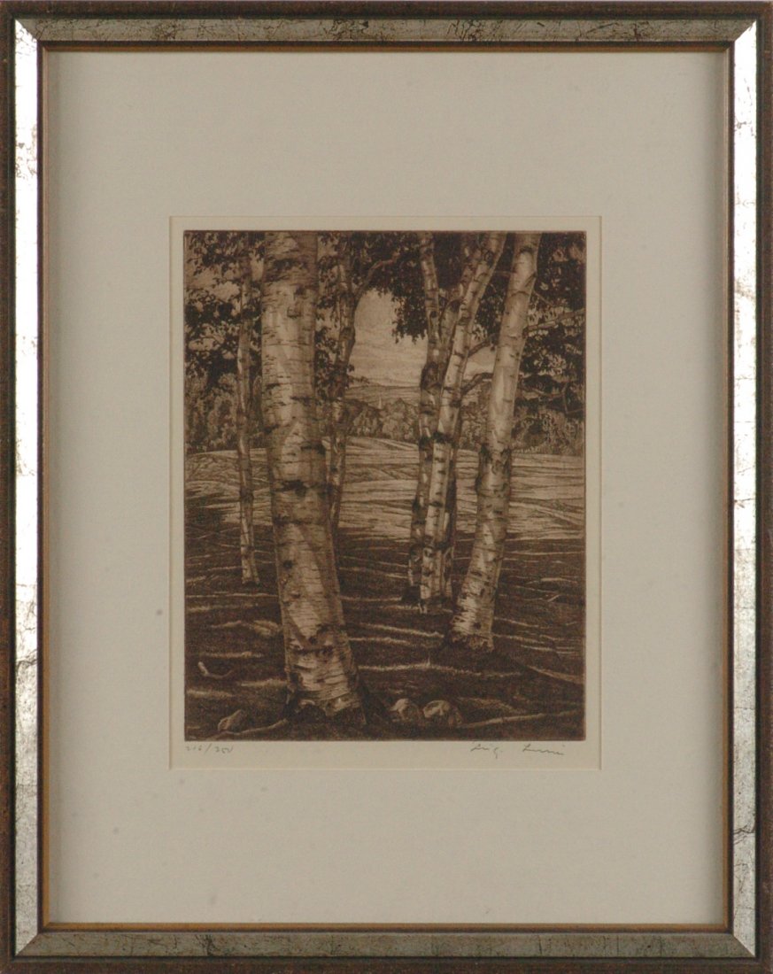 LUIGI LUCIONI (1900 - 1988) PENCIL SIGNED ETCHING: Signed lower right and numbered 216/250 lower left, titled Birches and Beyond, sight size of 10.50 x 8 inches through the mat with an overall framed size of 18.50 x 14.50 inches