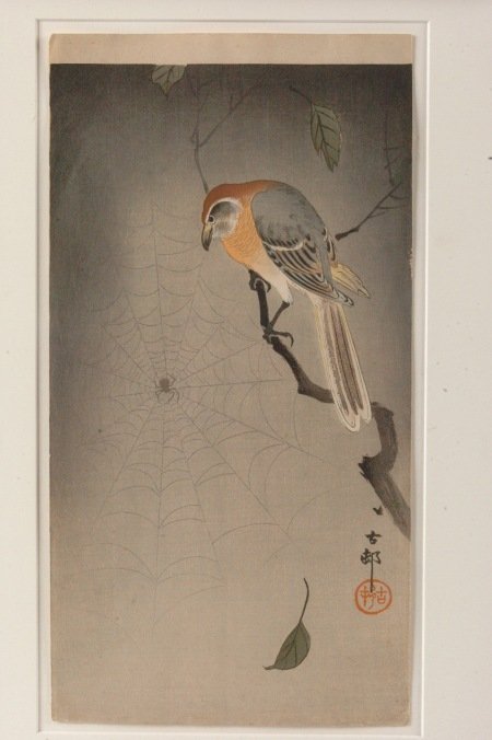 OHARA MATAO (KOSON) (1877 - 1945) WOODBLOCK PRINTS 'SHR: 'Shrike and Spider' sight size of 14.25 x 7.50 inches through the mat with an overall size of 20 x 12 inches, 'Knots on Shore' sight size of 13.50 x 7.25 inches through the mat with an overall size of