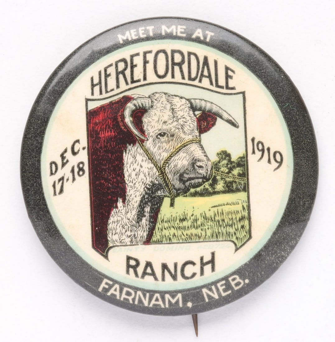 CELLULOID PINBACK BUTTON: MEET ME AT HEREFORDALE 1919 (1 of 5)