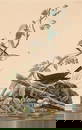 AFTER AUDUBON, GOLDEN-CROWNED THRUSH, HAVELL, WHATMAN