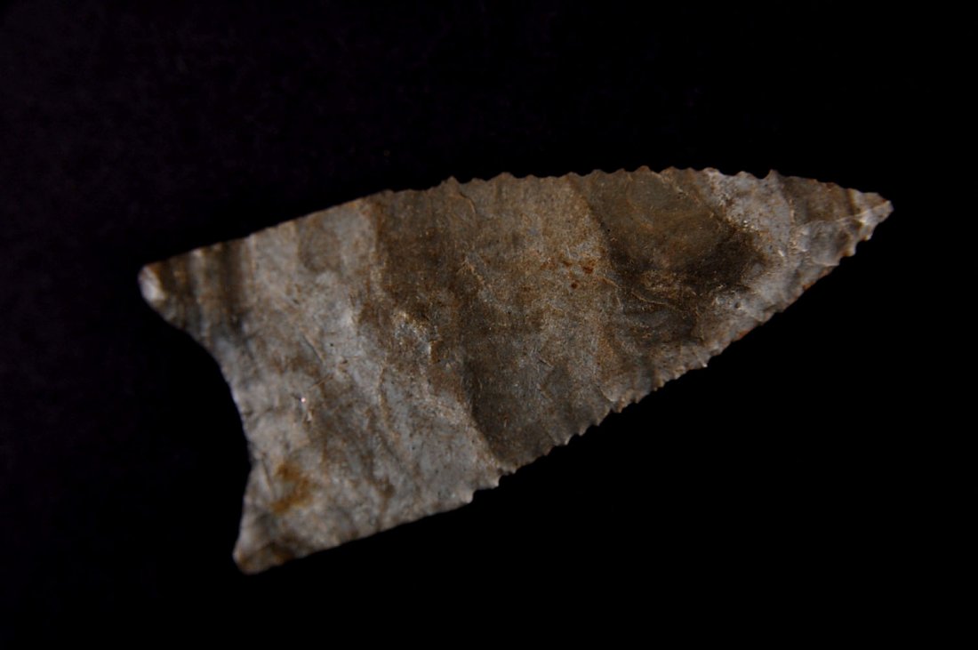 DALTON POINT, 2.5 INCHES: Found on Salt Fork, Malta Bend, Saline Co. MO. 2.5 x 1.25 inches. Guaranteed Authentic. This lot is subject to a 21 day return privilege guarantee. If, in the opinion of Tom Davis, Bill Jackson or Roy