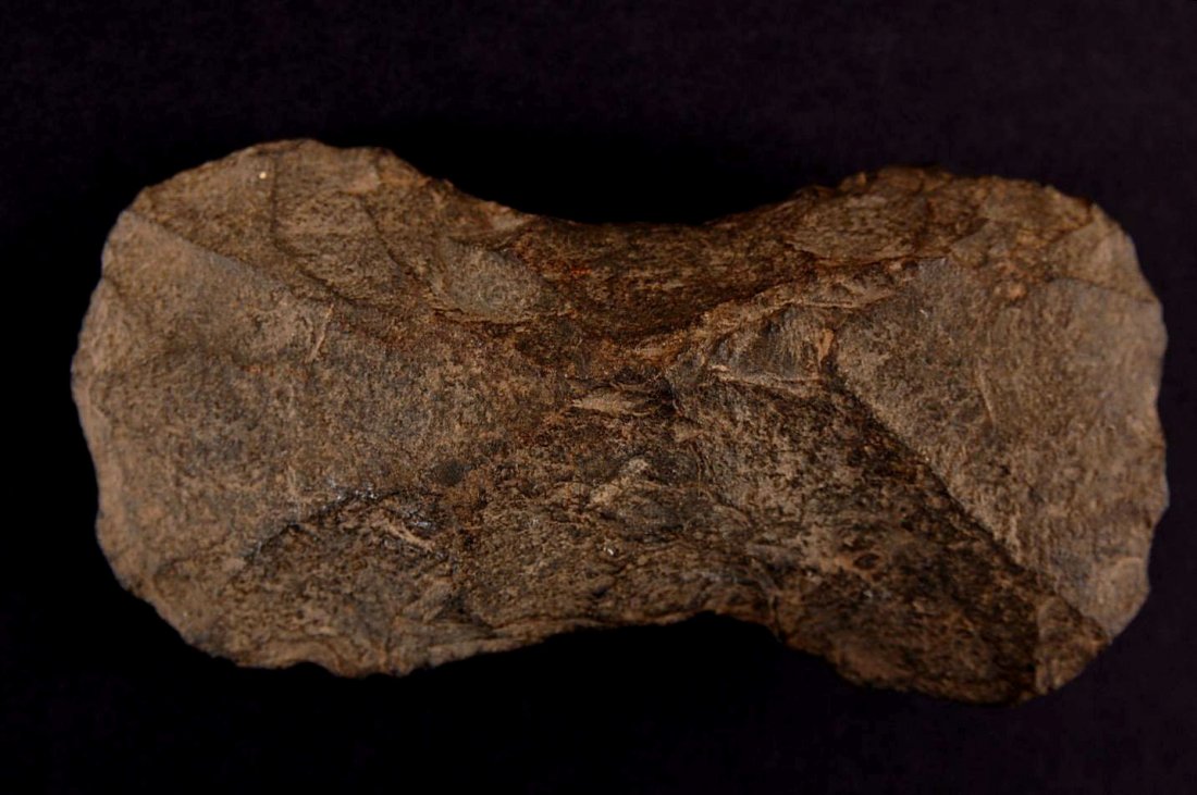 CHIPPED AXE, 5.5 INCHES: Northern Arkansas. 5.5 x 2.75 inches. Guaranteed Authentic. This lot is subject to a 21 day return privilege guarantee. If, in the opinion of Tom Davis, Bill Jackson or Roy Motley, this lot is determi
