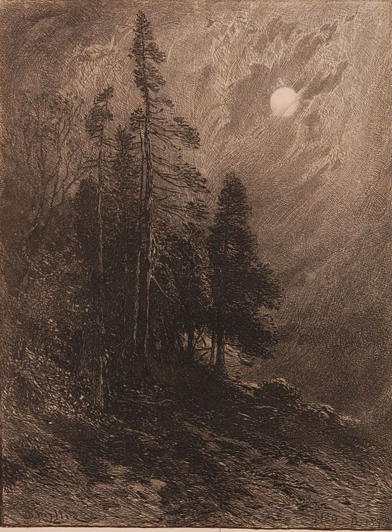 19TH CENTURY ETCHING OF TREES: Signed in the plate '$millie' possibly for William or George Frederick Cumming Smillie 19th Century banknote engravers. Titled in the plate 'No. 9 D. 1878.' Plate size 8.25 x 6, sheet size 12.5 x 9.75