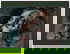 item-208704269=3