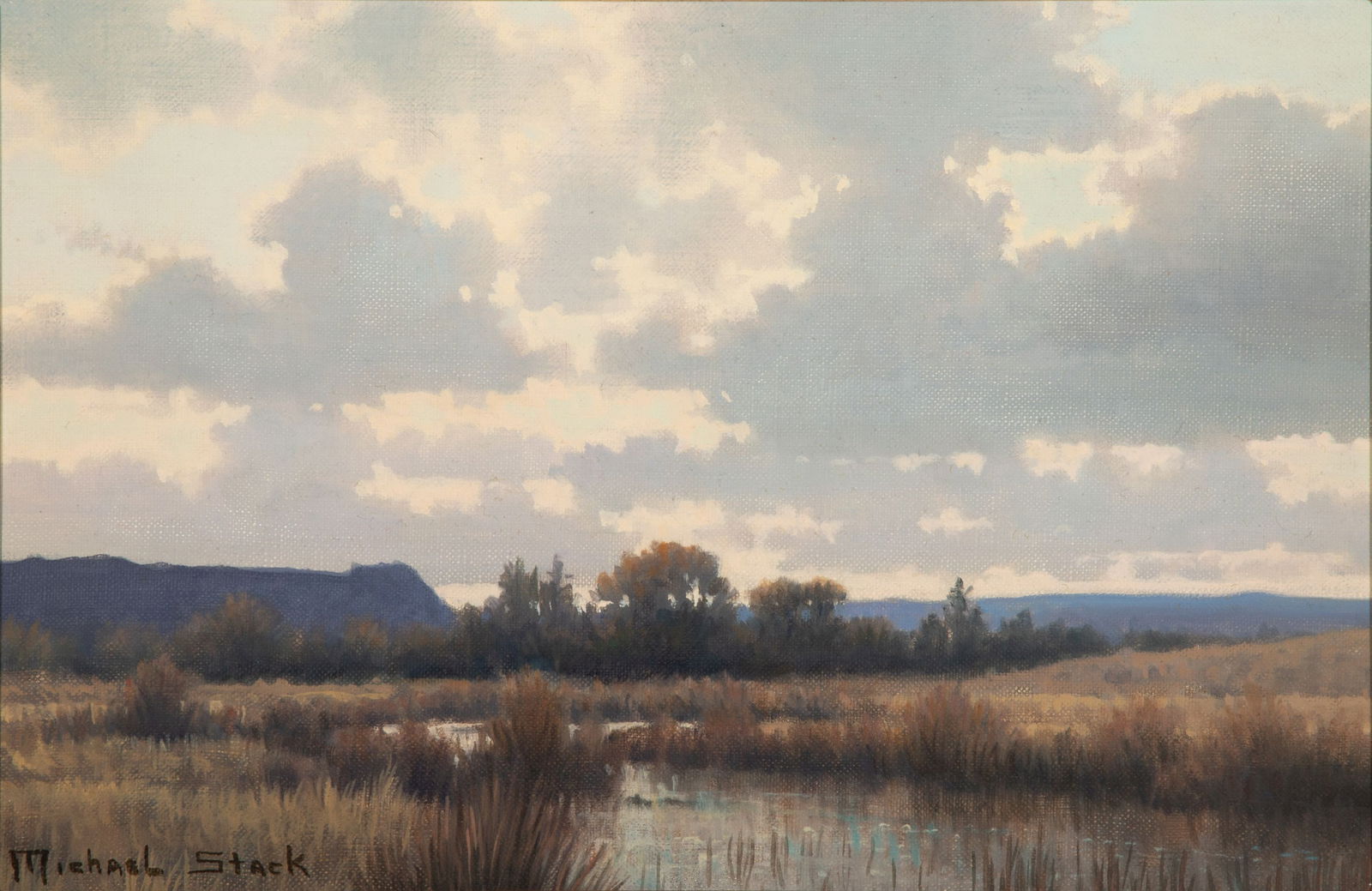 MICHAEL STACK (B. 1947) OIL ON CANVAS (1 of 12)