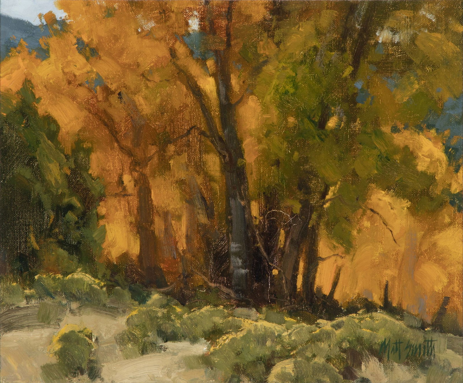MATT SMITH (B. 1960) AUTUMN COTTONWOODS OIL ON PANEL: Matt Read Smith (Born 1960) Autumn Cottonwood 1995 The view of mountain cottonwoods in autumn golds is signed lower left front. Born in Kansas City, Missouri, in 1960, Matt Smith moved to Arizona at a