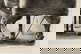 item-208704495=17