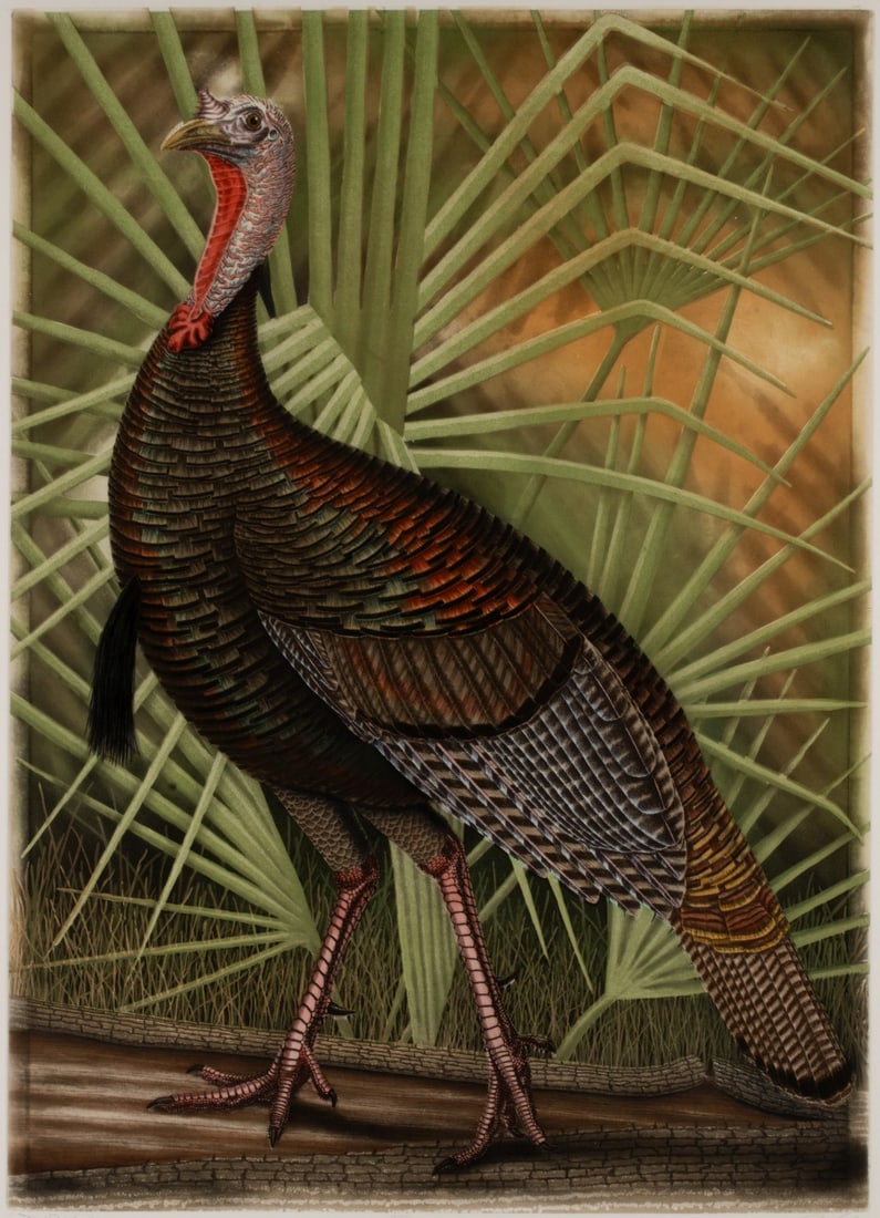 JOHN COSTIN (BORN 1956) ARTIST PROOF ETCHING WITH COLOR (1 of 12)