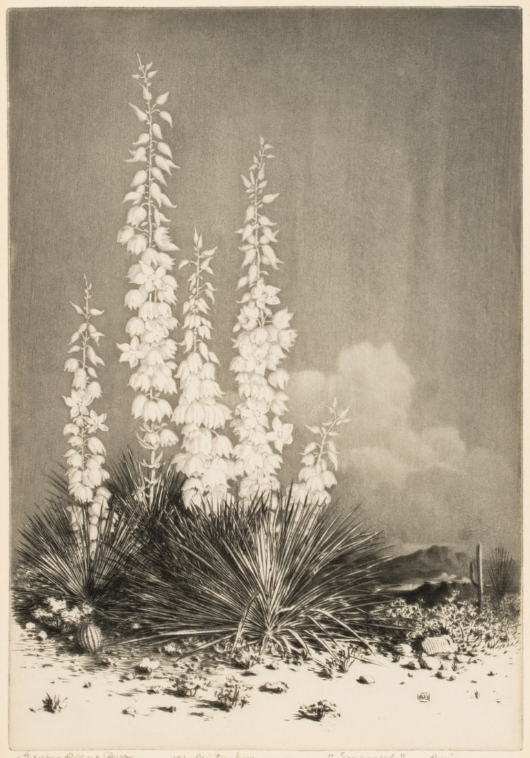 GEORGE ELBERT BURR (1859-1939) PENCIL SIGNED AQUATINT: George Elbert Burr (1859-1939) Soapweed - Arizona 1930 The aquatint is signed by the artist in pencil below the image lower left and titled lower right. Image measures 10 x 7 with a framed size of 17.