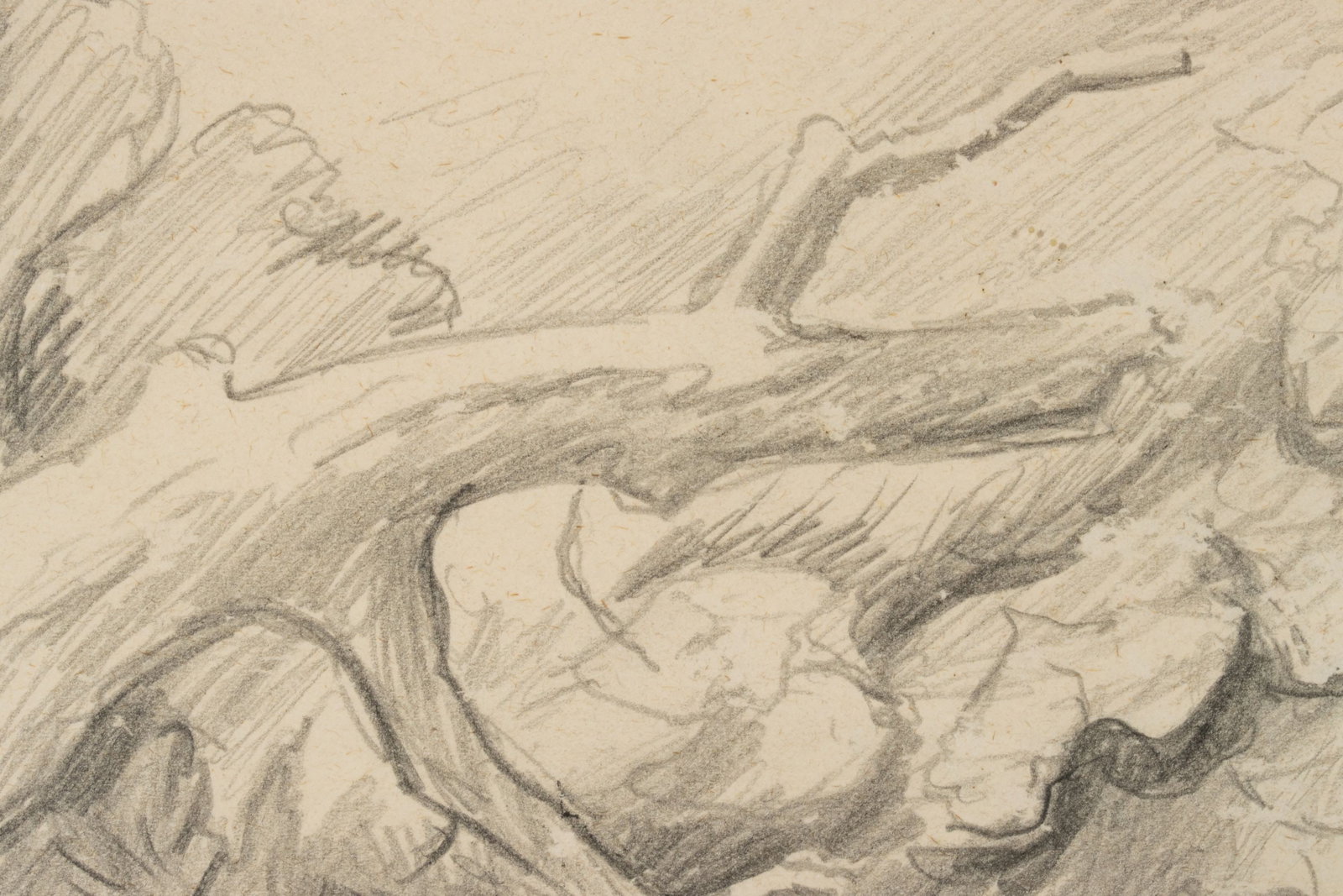 THOMAS HART BENTON: TWO UNSIGNED GRAPHITE STUDIES - 16