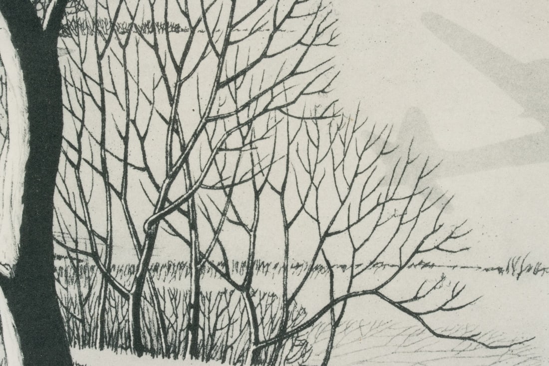 CHARLES CAPPS (1898-1981) OFFSET LITHO FOR BOEING - 7