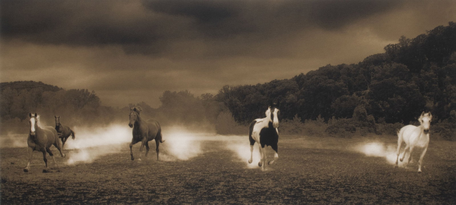 MICHAEL EASTMAN (B. 1947) PENCIL SIGNED PHOTOGRAPH: Michael Eastman (Missouri, Born 1947) Horses #115 Circa 2000 The archival pigment photograph, numbered 5 from an edition of 32 prints near the sheet blindstamp, is signed by the artist in pencil