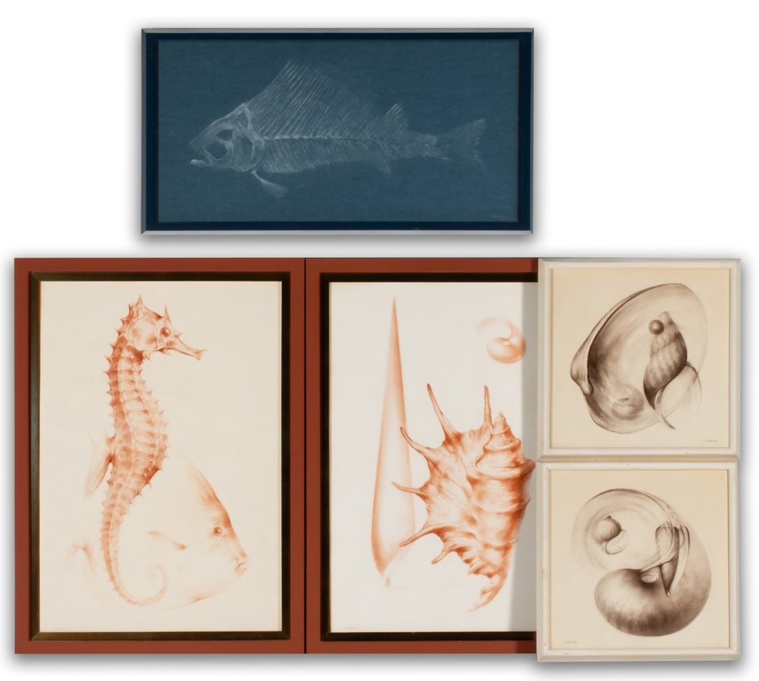 ALEXANDER CANEDO (1902-1978) MARINE STUDIES (5): Alexander (Alejandro De) Canedo (Mexico, 1902-1978) Five signed studies of marine wildlife in pastel or conte on paper. Overall framed size range from 11 x 11 to 15.75 x 21.75 inches. Without proof of