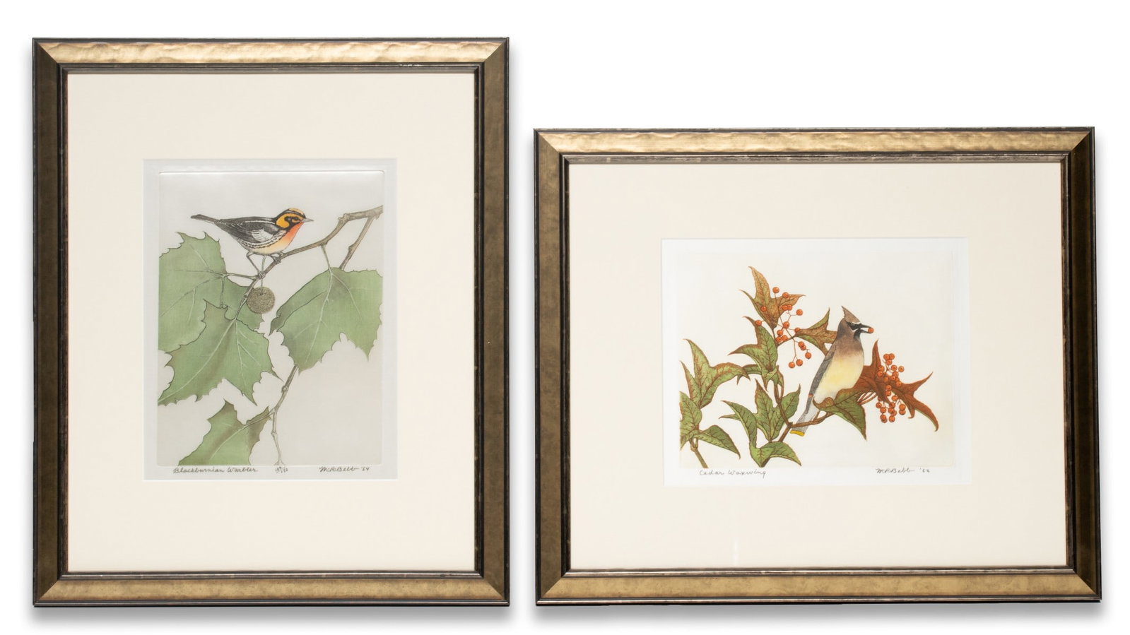 MAURICE BEBB (1891-1986) PENCIL SIGNED COLOR ETCHINGS: Maurice Bebb (1891-1986) 1. Blackburnian Warbler (1954). The color etching on silk, numbered 104 from an edition of 150 prints, is signed by the artist in pencil below the image lower right and