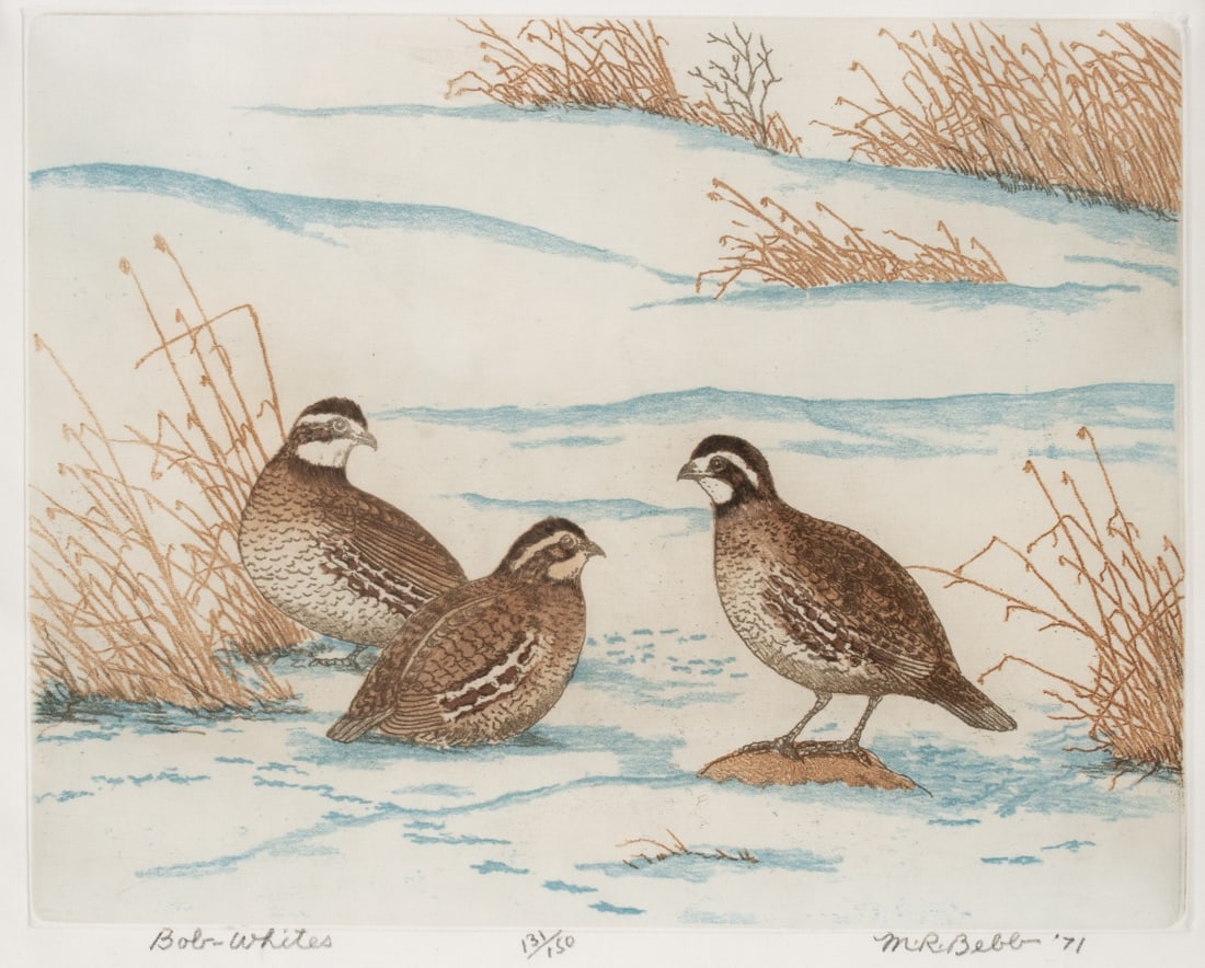 MAURICE BEBB (1891-1986) RARE SIGNED ETCHING ON SILK: Maurice Bebb (1891-1986) Bob Whites 1971 The color etching, numbered 131 from an edition of 150 prints, is signed by the artist in pencil below the image lower right and titled lower left. Image