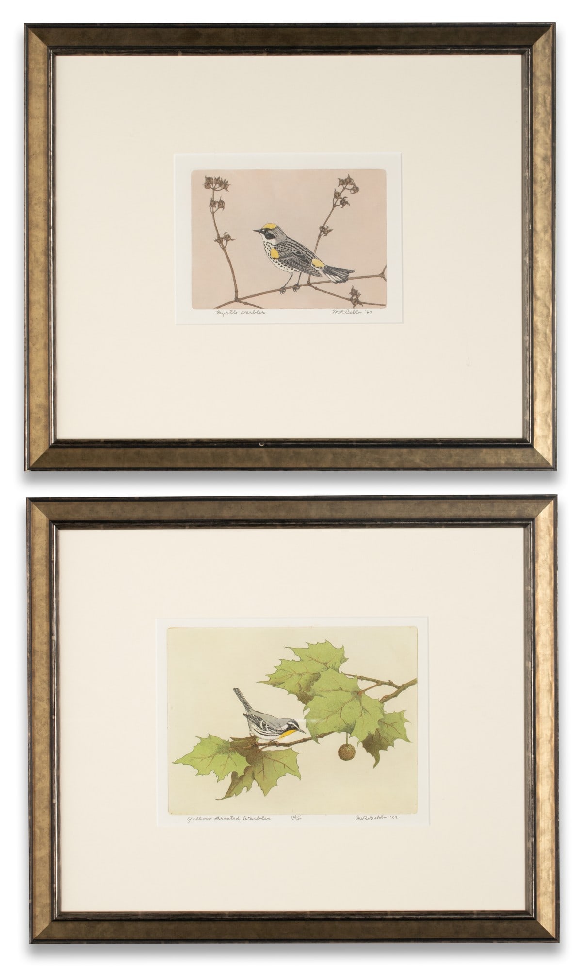 MAURICE BEBB (1891-1986) PENCIL SIGNED COLOR ETCHINGS: Maurice Bebb (1891-1986) 1. Yellow-Throated Warbler (1953). The color etching, numbered 129 from an edition of 1510 prints, is signed by the artist in pencil below the image lower right and titled