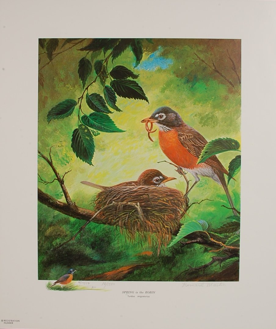 THREE BERNARD MARTIN LITHOGRAPHS WITH REMARQUES: Includes 'Spring is the Robin,' edition 16/1500, 16.5 x 14 inches; 'Stony Point Covey,' 31/500; 'Bald Eagle', 31/45, 18.5 x 15.25 inches; each with remarque.