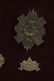 TWELVE BRITISH CAP BADGES CAPE TOWN HIGHLANDERS, MORE - 4