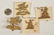 TWENTY BRITISH COUNTY REGIMENT CAP BADGES - 9