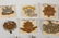 TWENTY BRITISH COUNTY REGIMENT CAP BADGES - 2