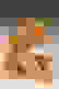 item-30025736=7