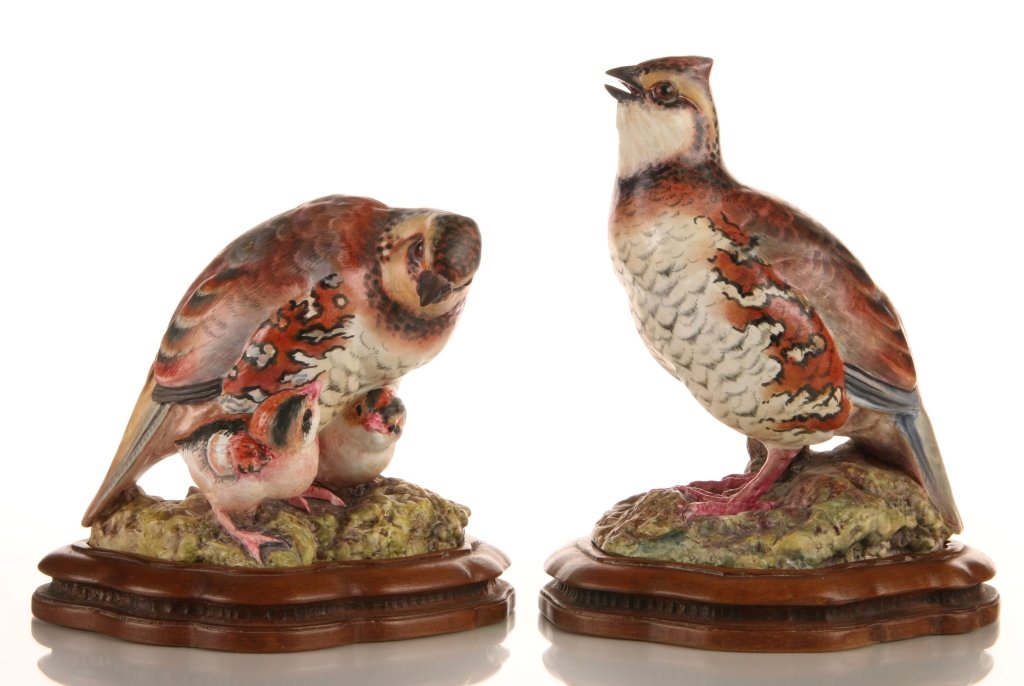 ROYAL WORCESTER DOROTHY DOUGHTY BOB WHITE QUAIL PAIR: A porcelain pair on wood stands. A singing cock and hen with chicks. Each signed on the base, created circa 1940 by Dorothy Doughty for Royal Worcester. Two pieces, with the largest bird measuring 7.2