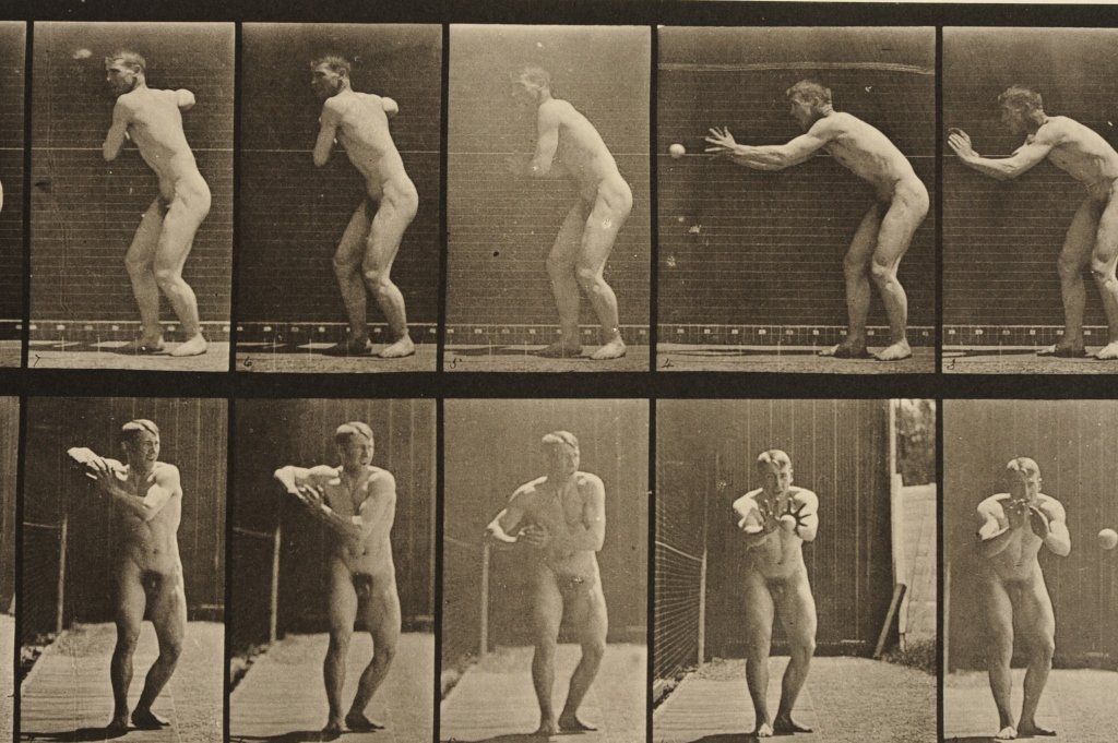 EADWEARD MUYBRIDGE 'ANIMAL LOCOMOTION' COLLOTYPE PLATES: Collotype from Animal Locomotion featuring nude male catching and throwing a baseball, plate 281, circa 1887, image area 6.75 x 17, sheet measures 18.75 x 23.75 inches. Provenance: The Estate of Kansa