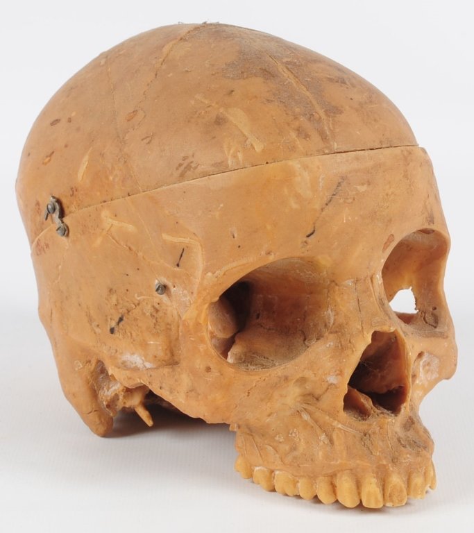 CIRCA 1960s MEDICAL PLASTICS LAB SKULL MODEL: Marked on the back side, measures approximately 6 x 5x 6 inches. Provenance: The Estate of Kansas Artist David Melby. We are happy to offer in-house shipping for all but very large or very fragile ite
