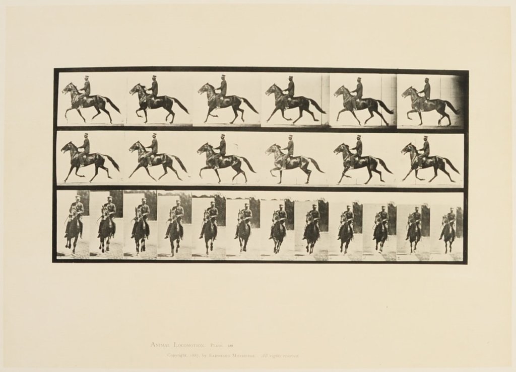 EADWEARD MUYBRIDGE 'ANIMAL LOCOMOTION' COLLOTYPE PLATES: Four collotypes from Animal Locomotion featuring horses with riders, plates 593, 604, 633 and 635, circa 1887, image areas measure from 7.5 x 16 to 6.5 x 17.5, sheets measure 18.75 x 23.75 inches. Pro