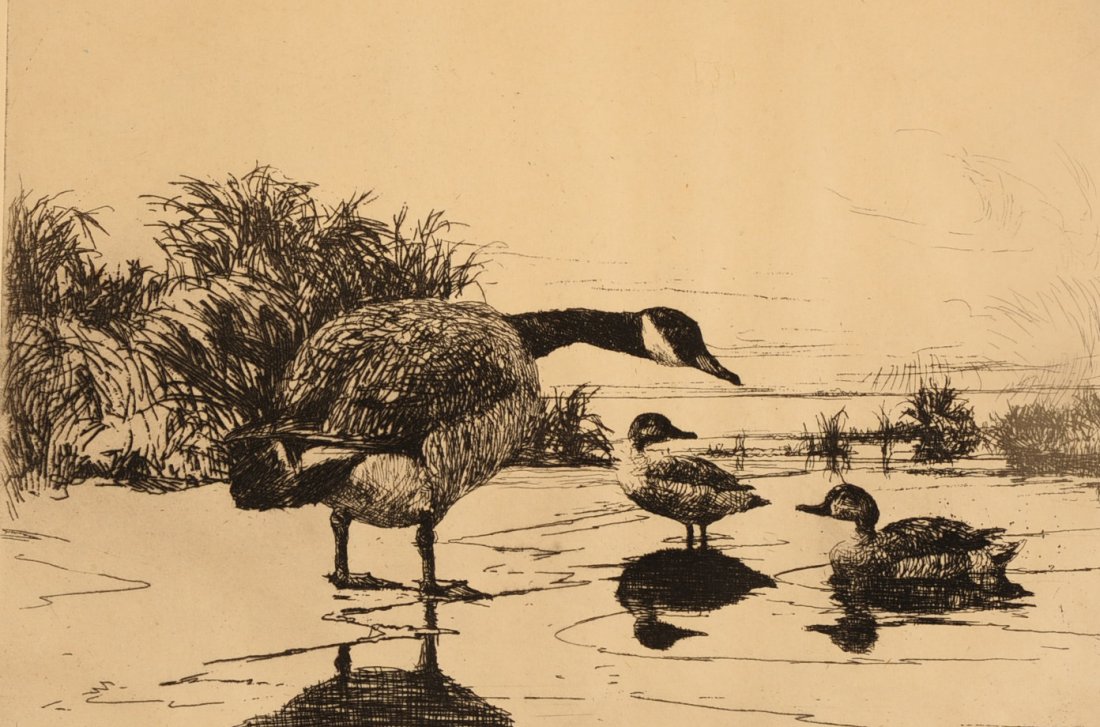 FRANK W BENSON (1862-1951) PENCIL SIGNED ETCHING: Titled 'Goose and Two Ducks' and signed in pencil lower left. Image measures 6.25 x 8 on a 9.75 x 12.5 inch sheet with an overall frame measurement of 14.25 x 17.25 inches.We are happy to offer in-hou