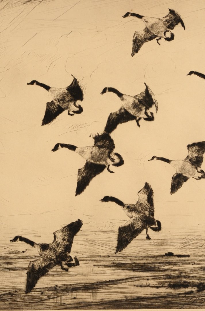 FRANK W BENSON (1862-1951) PENCIL SIGNED ETCHING: Titled 'Hovering Geese,' signed in pencil lower left. Dedication on the back of the mat. Image measures 14 x 11 on a 17.75 x 14 inch sheet with a overall frame measurement of 21 x 17 inches.We are hap