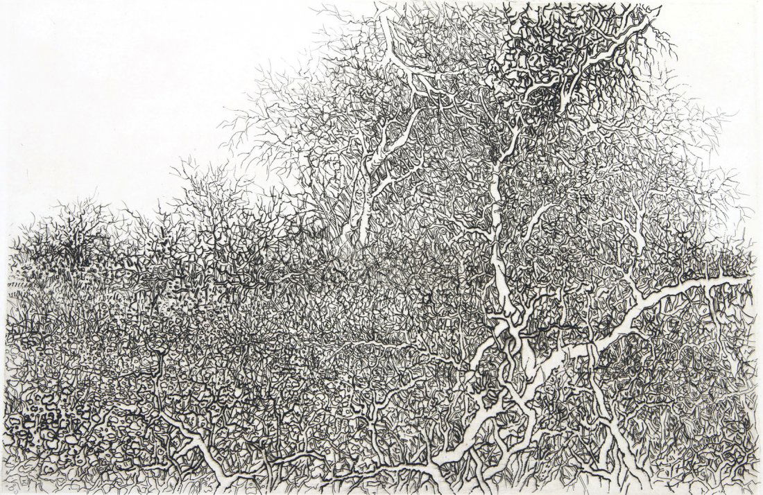 GABOR PETERDI (1915-2001) PENCIL SIGNED ETCHING (1 of 9)