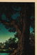 MAXFIELD PARRISH 'THE VILLAGE BROOK' PRINT - 4