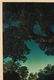 MAXFIELD PARRISH 'THE VILLAGE BROOK' PRINT - 7