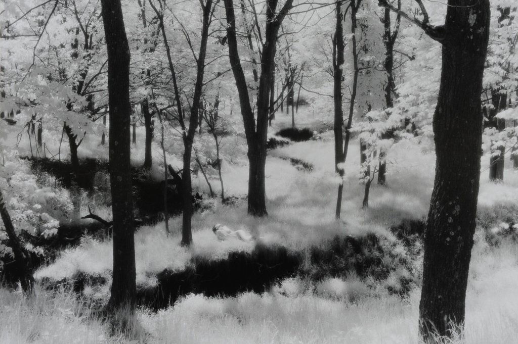 THREE 20TH CENTURY SILVER GELATIN PHOTOGRAPHS (1 of 9)