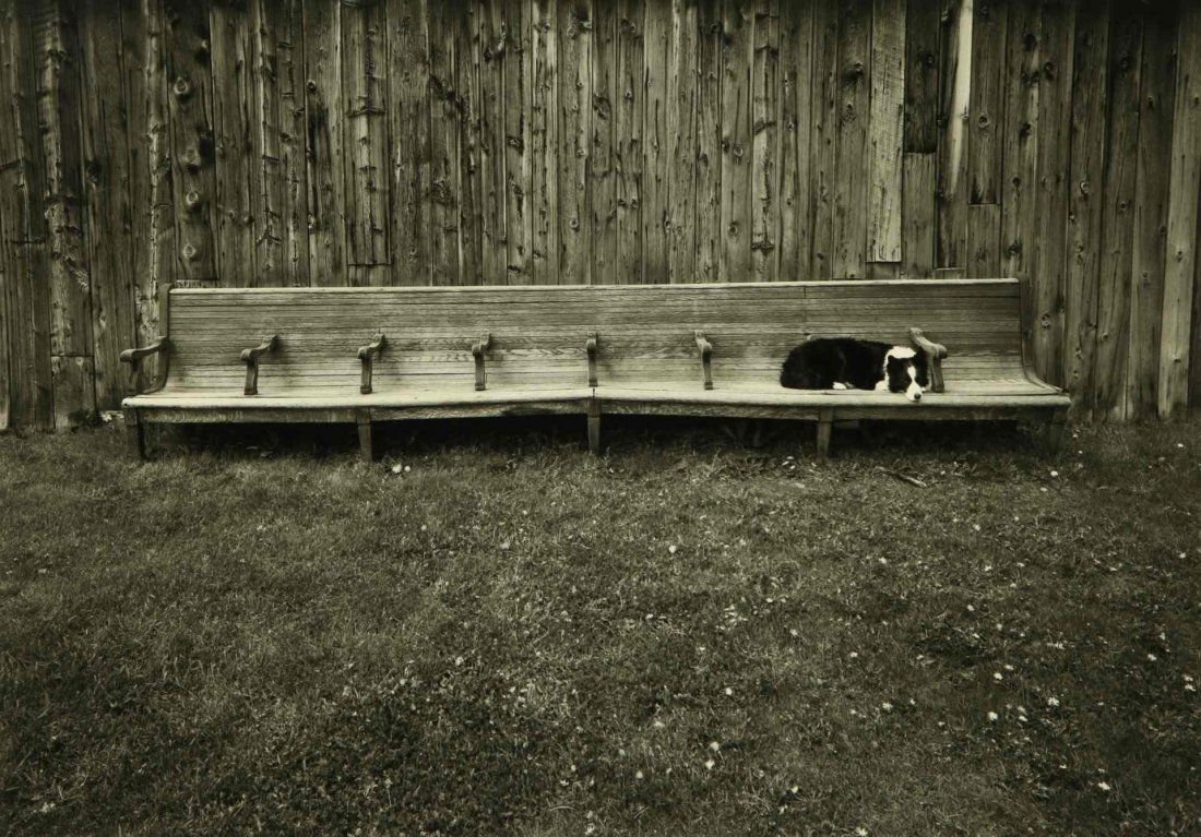CRAIG VARJABEDIAN (B. 1957) SILVER GELATIN PHOTOGRAPH: Signed lower right, edition 1/200 lower left, image measures 14 x 19, frame measures 26 x 32 inches.