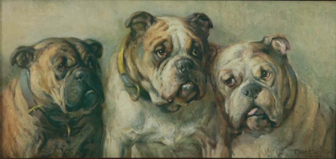 AFTER PHILIP EUSTACE STRETTON (1865-1919) 'BULLDOGS': An early 20th century offset lithograph in a period frame, sight size 9.25 x 19.5, frame measures 16 x 26.5 inches. We ship in-house for all items with the exception of very large and or very fragile 
