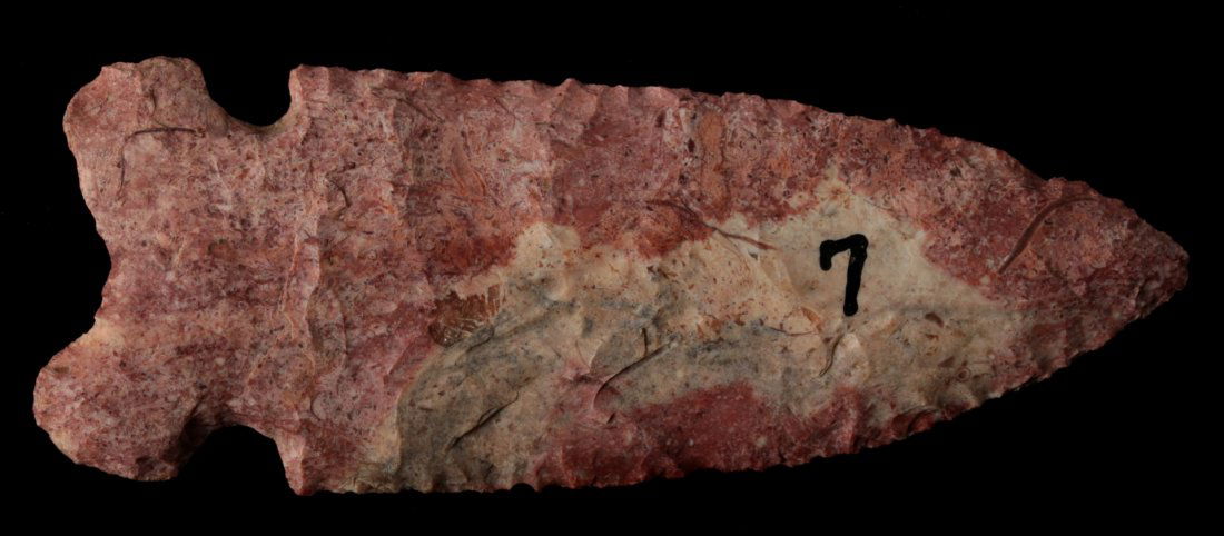 A 3.5-INCH HEMPHILL: Archaic culture. Measures 3.5 x 1.25 inches. George Nichols collection. Nichols' notes regarding site 7 read as follows, Located in field on upper terrace where Fox Hollow Branch joins Bonne Femme Cre