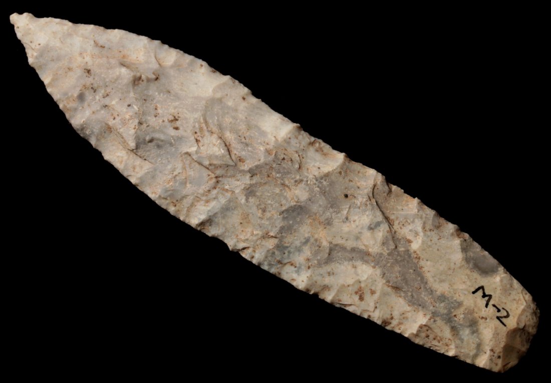 A 5-INCH SEDALIA: Archaic culture. Measures 5 x 1.25 inches. George Nichols collection. Nichols' notes regarding site M-1 read as follows, “Wilton site. Located in field on a bluff, 3/4 mile north of Wilton, Mo. Exte