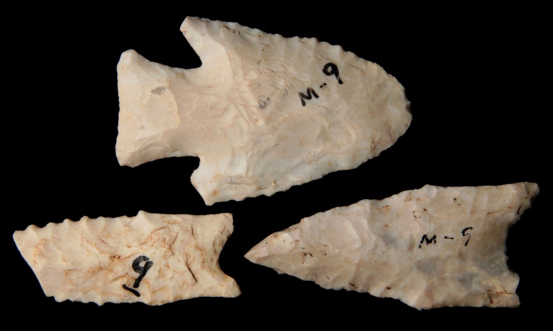 2 DALTONS AND ONE HARDIN BARB (1 of 7)