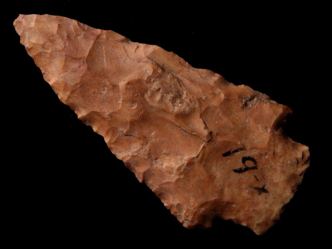 A 3.5 INCH HARDIN (1 of 6)