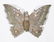CIRCA 1900 DRESDEN BUTTERFLY CHRISTMAS ORNAMENT