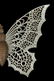 CIRCA 1900 DRESDEN BUTTERFLY CHRISTMAS ORNAMENT - 4