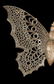 CIRCA 1900 DRESDEN BUTTERFLY CHRISTMAS ORNAMENT - 6