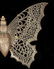 CIRCA 1900 DRESDEN BUTTERFLY CHRISTMAS ORNAMENT - 8